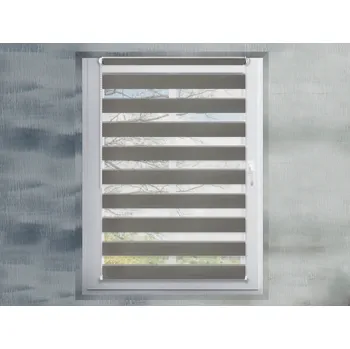 Roleta FEXI Zatemňovací Roleta Den a noc, Silk stříbrná, A 096 v POLO kazetě, 150x30 cm