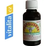 Dr. Dudek propolisová tinktura přírodní 30 ml