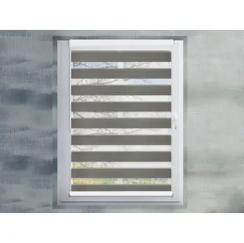 Roleta FEXI Zatemňovací Roleta Den a noc, Silk stříbrná, A 096 v MAXI kazetě, 150x30 cm