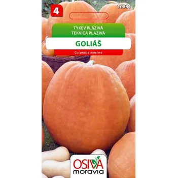 Semeno Tykev plazivá Goliáš 8 s