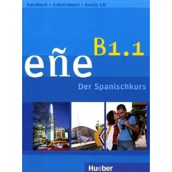 Německý jazyk Niveau B1.1, Kursbuch u. Arbeitsbuch, m. Audio-CD - González Salgado, Cristóbal