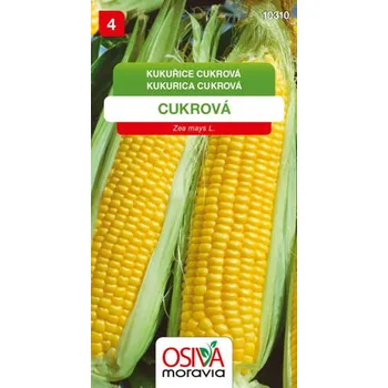 Semeno Kukuřice cukrová Seva Seed 7 g