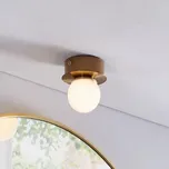 Eglo 900658 - LED Koupelnové stropní svítidlo MOSIANO LED/3,3W/230V IP44 zlatá