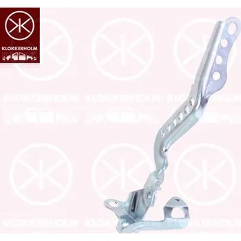 Kapota Závěs, kapota motoru AGB 81A203-5