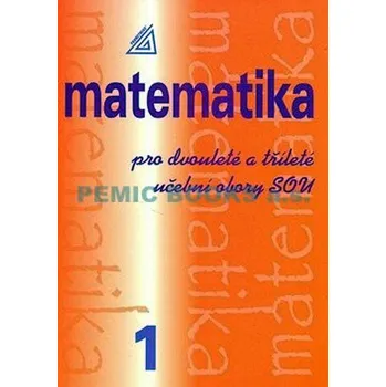 Kniha MATEMATIKA PRO DVOULETÉ A TŘÍLETÉ UČEBNÍ OBORY SOU 1.DÍL - Calda E.