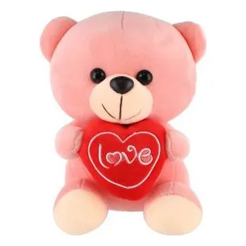 plyšák Teddies Sedící plyšový medvěd se srdíčkem 19 cm