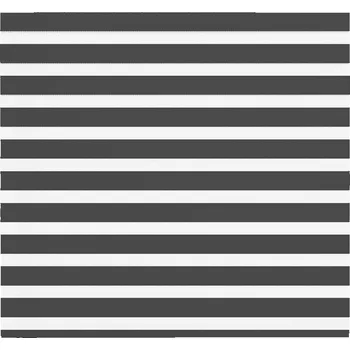 vidaXL Zebra roleta černá 165x100 cm šířka látky 160,9 cm polyester