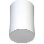 Nowodvorski Lighting Point Plexi stropní světlo 1x20 W bílá 6528