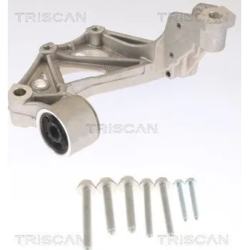 Konzola, tělo nápravy TRISCAN 8500 295261