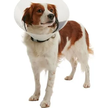 Kruuse Límec ochranný BUSTER plastový Clic Collar pro psa Velikost: 12,5 cm