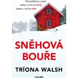 Sněhová bouře - Triona Walsh (2025, pevná)