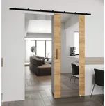 Posuvné dveře se zrcadlem Zonda II - 70 cm s tlumeným dojezdem Barva: Dub Craft zlatý