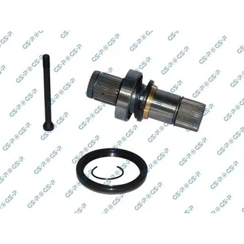 Steckwelle, diferenciál GSP 261191