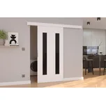 Posuvné dveře HERS 106