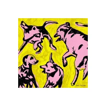 Zahraniční hudba Pink Dogs On the Green Grass / Vinyl - Jacobs Paul [LP]