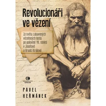 Kniha Revolucionáři ve vězení - Pavel Heřmánek (E-Kniha)