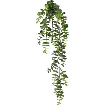 umělá květina Umělá rostlina Eucalyptus závěsná, 63 cm , zelená