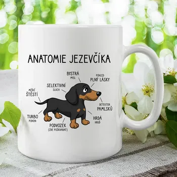 Žertovný předmět Garibald.cz - Anatomie jezevčíka - hrnek s potiskem