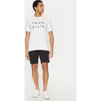 Pánská móda Calvin Klein T-Shirt K10K114156 Bílá Regular Fit L