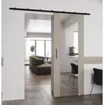 Posuvné dveře se zrcadlem Zonda II - 70 cm s tlumeným dojezdem Barva: Kašmír