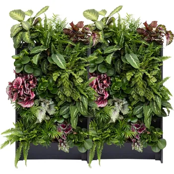 Obývací stěna PlantBox - Živá stěna 10 modulů