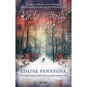 Kniha Kudy vchází světlo - Louise Pennyová (E-Kniha)