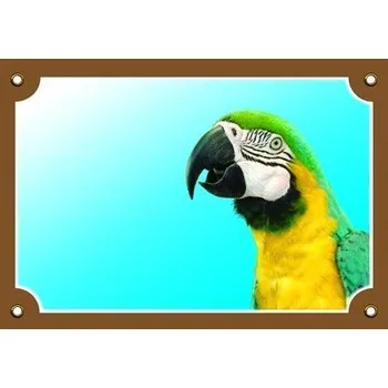 Značení Barevná cedulka Tady bydlím já! Papoušek ARA Ararauna