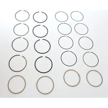 Plynové lanko Sada kroužků FELICIA 1,3, PL, pro FELICIE, I.. Typové číslo: 800075001,800075001,800075001, 400460003