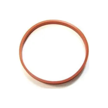 Těsnění motoru Těsnění, koleno sacího potrubí ELRING 497.360