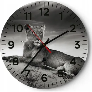 Hodiny Velké nástěnné hodiny 40x40 cm Zvířata Skleněné hodiny Kulatý Tiché