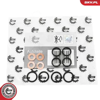 Systém vstřikování Sada těsnění, vstřikovací tryska ESEN SKV 53SKV195