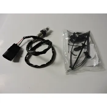 Lambda sonda Sonda za katalyzátor FABIA I. 2,0 AZL, NTK UAR9000-EE018, pro FABIA, I. 6Y. Typové číslo: 036906262A,036906262A,036906262A , UAR9000-EE018 , 96650 , 030906262G , 030906262J , 06A906262BD , 06A906262BE , 06A906262BF , 06C906265B , 06C906265H , 07C906262G ,