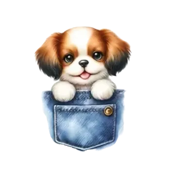 Nažehlovací obrázek Štěně v kapse I