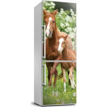 Fototapeta Samolepka na ledničku Kobyla a hříbě 70x190