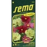 SEMO Krásenka zpeřená Dwarf mix 40 ks