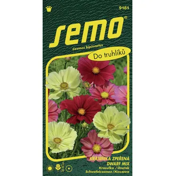 Semeno SEMO Krásenka zpeřená Dwarf mix 40 ks