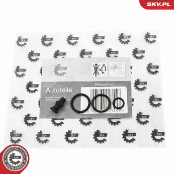 Systém vstřikování Sada na opravy, jednotka trysky čerpadla ESEN SKV 53SKV197