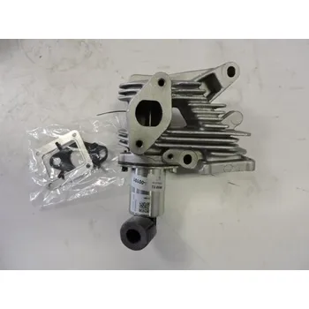 Váha vzduchu EGR ventil RENAULT, ELSTOCK 72-0048, 7701058850, 8200542999, 7701067308, pro STARŠÍ TYPY, Zahraniční vozy. Typové číslo: 72-0048,72-0048,72-0048, 7701058850, 8200542999, 7701067308, b38