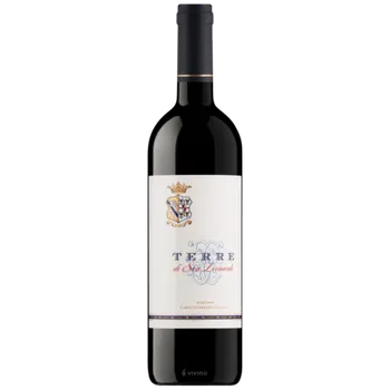 Víno Terre di San Leonardo 2019 IGT 1,5l
