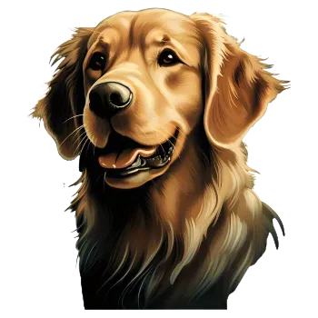 Nažehlovací obrázek - zlatý retrívr (8,8 x 7,76 cm), Velikost: Malý