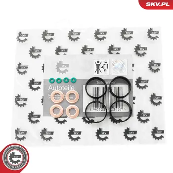 Systém vstřikování Sada těsnění, vstřikovací tryska ESEN SKV 53SKV191