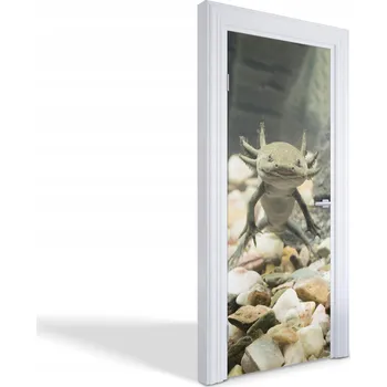 Fototapeta Samolepka na dveře s dekorativním potiskem Usmívající se axolotl 75x205 cm