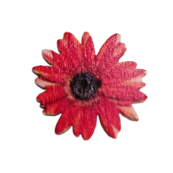 Knoflík Knoflík dřevěný červený květ