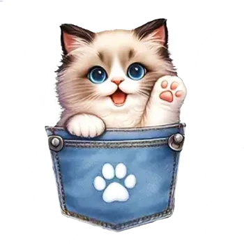 Nažehlovací obrázek - kotě v kapse VII