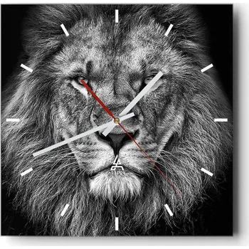 Hodiny Velké nástěnné hodiny 40x40 cm Zvířata Skleněné tiché hodiny