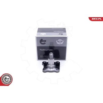 Sada ložisek kol ESEN SKV 29SKV457