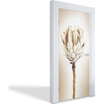 Fototapeta Dekorativní samolepka na dveře fólie s ozdobným motivem Suchá květina 95x205 cm