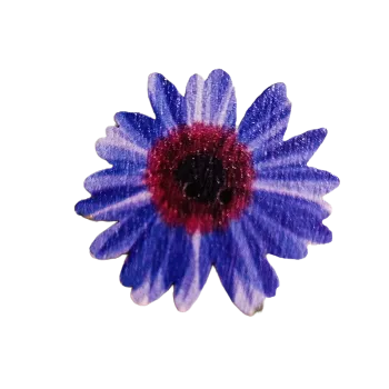 Knoflík Knoflík dřevěný bílomodrý květ