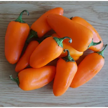 Semeno Paprika Snacking Orange F1 - Capsicum anuum - osivo papriky - 5 ks