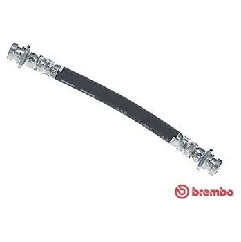 Autodíl Brzdová hadice BREMBO T 83 177